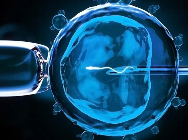 (a)代孕哪个不错,哈尔滨供卵试管最正规机构-三代试管助孕机构