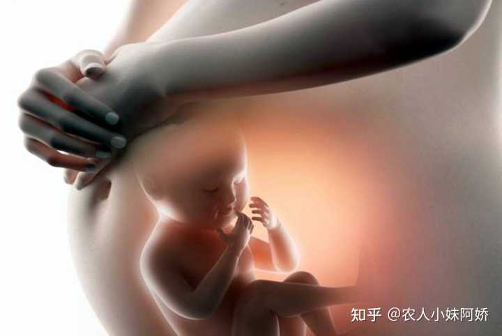 借卵生子成功率高孕前中医调理的适用人群