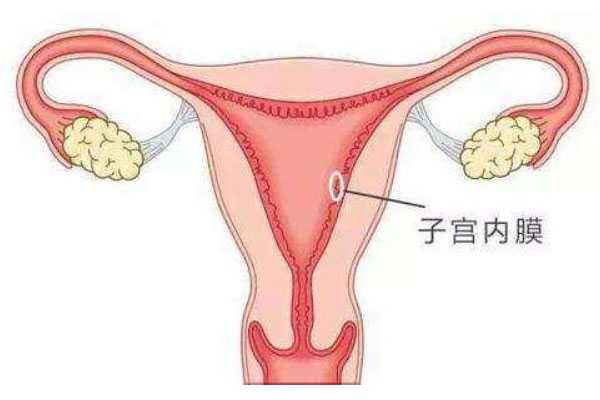 正规供卵试管_卵巢早衰供卵服务_试管刮宫后再移植会不会提高