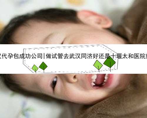 武汉代孕包成功公司|做试管去武汉同济好还是十堰太和医院好？
